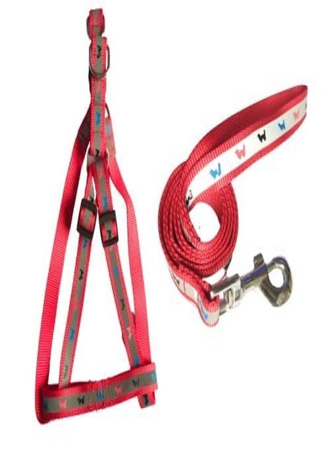 Pups&Pets طقم سرج من النايلون قابل للتعديل من Pups&Pets، مقاس 3/4 بوصة، مزين بطبعة كلب عاكس، مناسب للجراء متوسطة وكبيرة الحجم، 0.75 بوصة 22 مم (أحمر). - Image 1